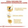 Royal Canin French Bulldog Adult karma sucha dla psów dorosłych rasy buldog francuski 3kg