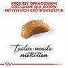 Royal Canin British Shorthair Kitten karma sucha dla kociąt, do 12 miesiąca, rasy brytyjski krótkowłosy 400g