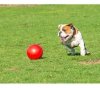 Boomer Ball M - 6 / 15cm czerwona
