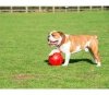 Boomer Ball L - 8 / 20cm czerwona
