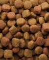 Versele-Laga Oke Dog Classic Duo Krok 20kg