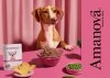 Amanova Dog Adult Tasty Salmon & Turkey - łosoś i indyk saszetka 300g [P06]