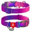 Collar WauDog Recycled Obroża nylonowa z QR-paszportem, gradient XL 25mm x 37-58cm fioletowy