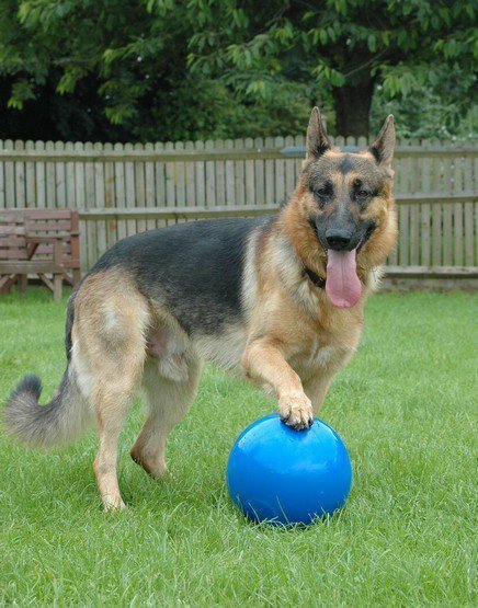 Boomer Ball M - 6&quot; / 15cm niebieska