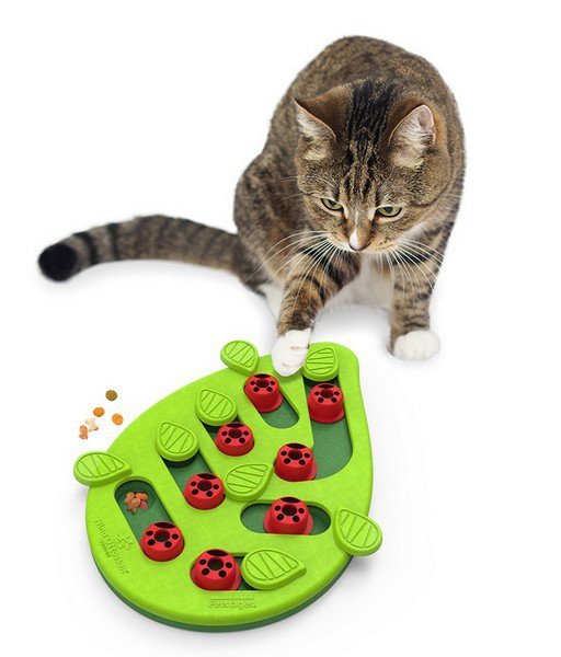 Nina Ottosson Cat Buggin&#039; Out Puzzle & Play - gra edukacyjna dla kotów