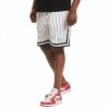 Karl Kani spodenki Small Signature Pinstripe Mesh Short 6014921