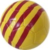 FC Barcelona Catalunya piłka nożna 373111