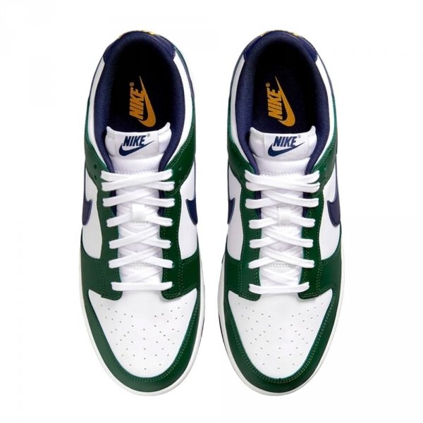 Nike buty męskie Dunk Low FV6911-300