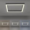Lampa sufitowa plafon LED PURE-LINES 1 - punktowa antracyt PaulNeuhaus - 6022-13