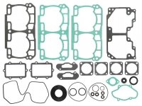 SPI SNOW KOMPLET USZCZELEK (Z USZCZELNIACZAMI OLEJOWYMI) LYNX RAVE / XTRIM 800 PTEK 08-10, SKI-DOO GSX 800R 08, MXZ 800 R ADRENA 