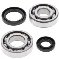 ALL BALLS ŁOŻYSKA WAŁU KORBOWEGO Z USZCZELNIACZAMI SUZUKI RM250 82-85 