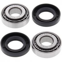 ALL BALLS ZESTAW NAPRAWCZY WAHACZA BMW K 1200/1300/1600, R 1100/1150/1200, R 45/60/65/75/80/90/10<br />0, HP2 