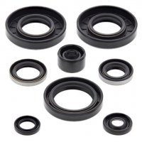 WINDEROSA (VERTEX) KOMPLET (ZESTAW) USZCZELNIACZY SILNIKOWYCH KAWASAKI KX 65 00-19 