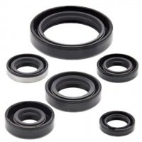 WINDEROSA (VERTEX) KOMPLET (ZESTAW) USZCZELNIACZY SILNIKOWYCH KAWASAKI KLX250R 94-96, KLX250S 06-18, KLX250SF 09-10, KLX300(R) 9 