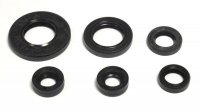 ATHENA KOMPLET (ZESTAW) USZCZELNIACZY SILNIKOWYCH YAMAHA TTR 125 11-15, XT 125R/X 05-12, YBR 125 05-14 