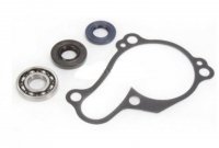 BEARING WORX ZESTAW NAPRAWCZY POMPY WODY YAMAHA YZ 450F 10-13 (WPK0029) 