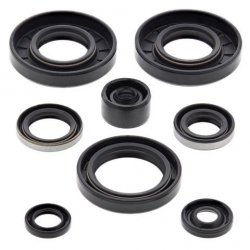 WINDEROSA (VERTEX) KOMPLET (ZESTAW) USZCZELNIACZY SILNIKOWYCH KAWASAKI KX 65 00-19