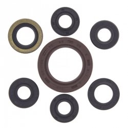 WINDEROSA (VERTEX) KOMPLET (ZESTAW) USZCZELNIACZY SILNIKOWYCH SUZUKI LTZ 400 03-14, ARCTIC CAT 400 DVX 04-08