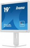 Monitor 19 cali B1980D-W5 DVI,VGA,PIVIOT,HAS/150mm,5:4