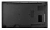 Monitor wielkoformatowy PD-43Q  700 nit czarny