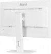 Monitor 27 cali XUB2797QSN-W1 IPS,QHD,USB-c Dock 65W,HDMI, WHITE /5y/