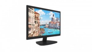 Monitor 21.5 DS-D5022FC
