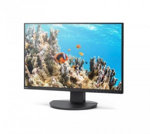 Monitor MultiSync DD-EA242W 24.1 cala  czarny