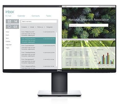 Monitor 23,8 cala P2419HC IPS LED  Full HD (1920x1080) /16:9/HDMI/DP/USB-C/4xUSB/3Y PPG