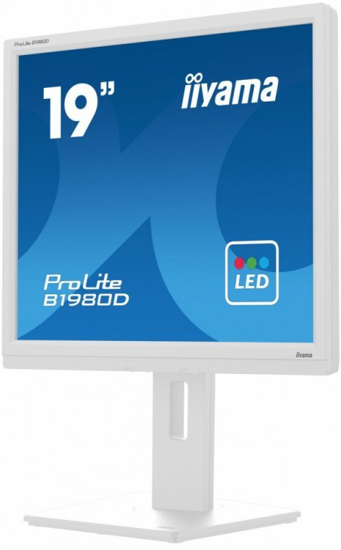 Monitor 19 cali B1980D-W5 DVI,VGA,PIVIOT,HAS/150mm,5:4