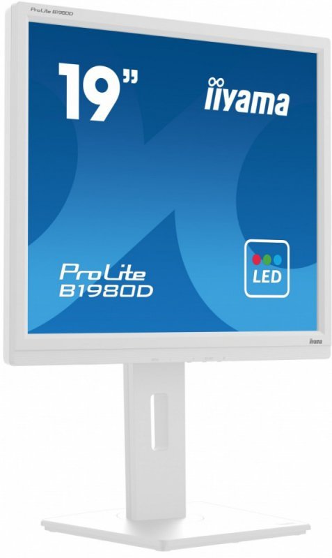 Monitor 19 cali B1980D-W5 DVI,VGA,PIVIOT,HAS/150mm,5:4