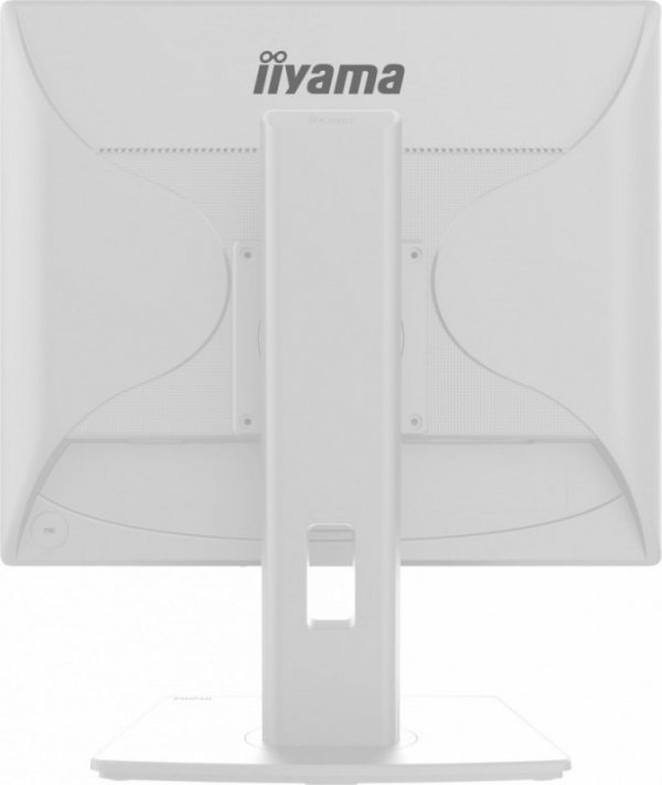 Monitor 19 cali B1980D-W5 DVI,VGA,PIVIOT,HAS/150mm,5:4