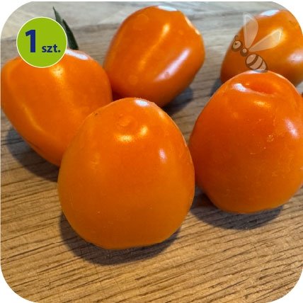 Pomidor koktajlowy Apple Orange