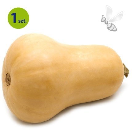 Dynia piżmowa Butternut