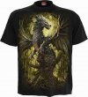 Oak Dragon - Spiral Direct
