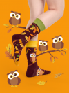 Curious Owl - Socks Good Mood