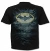 Batman Call Of The Knight - Spiral