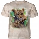 Tree Hugger Leopard- The Mountain