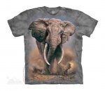 African Elephant - The Mountain - Junior