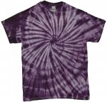 Hurricane Purple - TCH