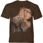 Chocolate Labs - The Mountain