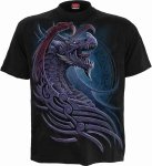 Dragon Borne - Spiral Direct