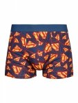 DC Superman Logo - Mens Fitted Trunks Good Mood