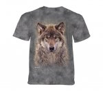 Grey Wolf Forest - The Mountain Junior