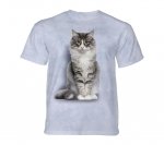 Norwegian Forest Cat - The Mountain - Junior