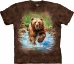 Bear Run - The Mountain