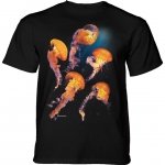 Pacific Nettle Jellyfish - The Mountain
