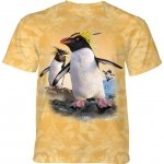 Rockhopper Penguins - The Mountain