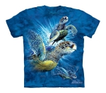 Find 9 Sea Turtles - The Mountain - Junior