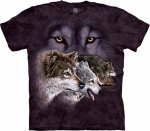 Find 9 Wolves  - The Mountain