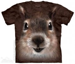 Squirrel Face - Wiewiórka - The Mountain
